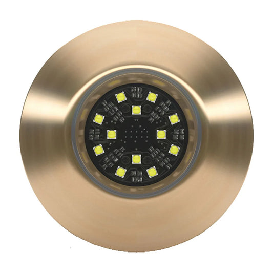 Lumishore ORA TIX404 White Interchangeable ThruHull 0100446700